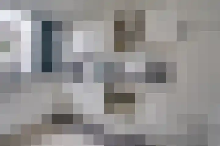 Eerste Buitenpepers 39 's-Hertogenbosch thumbnail 13