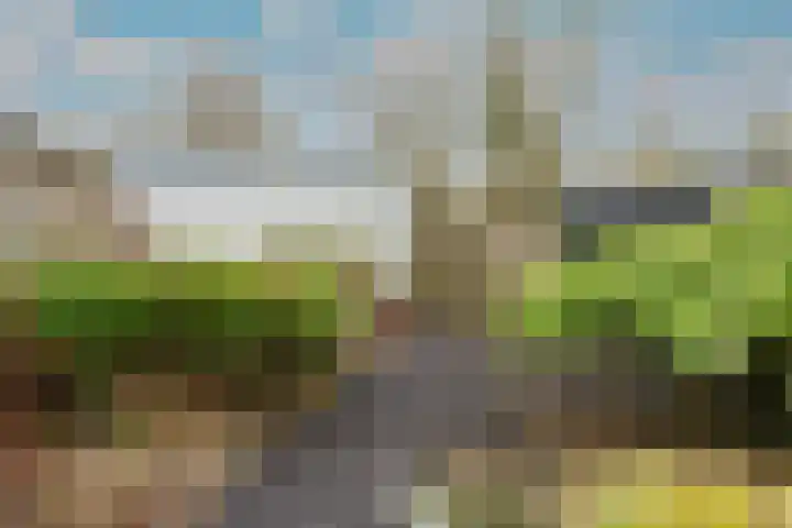 Eerste Buitenpepers 39 's-Hertogenbosch thumbnail 30