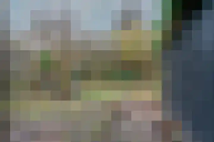 Eerste Buitenpepers 39 's-Hertogenbosch thumbnail 31