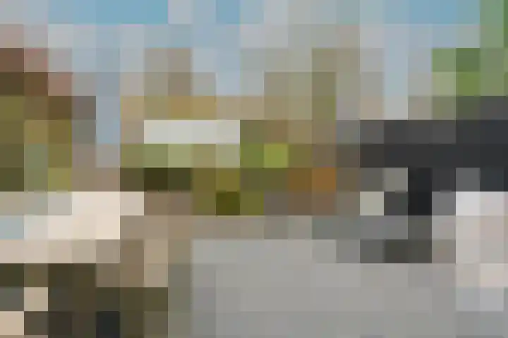 Eerste Buitenpepers 39 's-Hertogenbosch thumbnail 4
