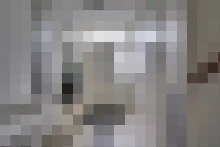 Eerste Buitenpepers 39 's-Hertogenbosch thumbnail 5
