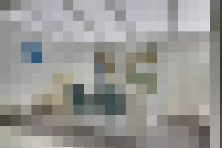 Eerste Buitenpepers 39 's-Hertogenbosch thumbnail 8