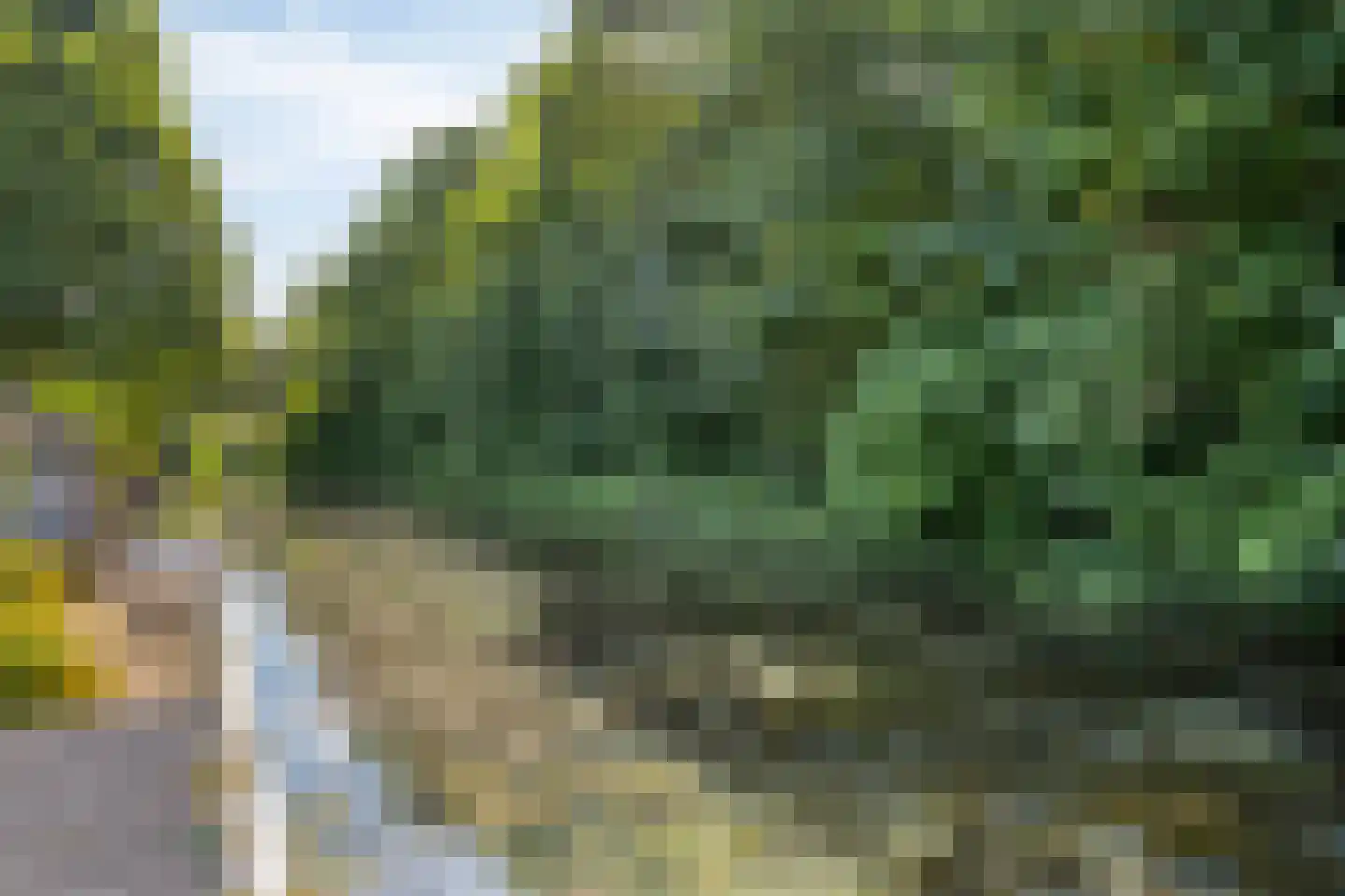 Eerste Buitenpepers 59 's-Hertogenbosch thumbnail 10