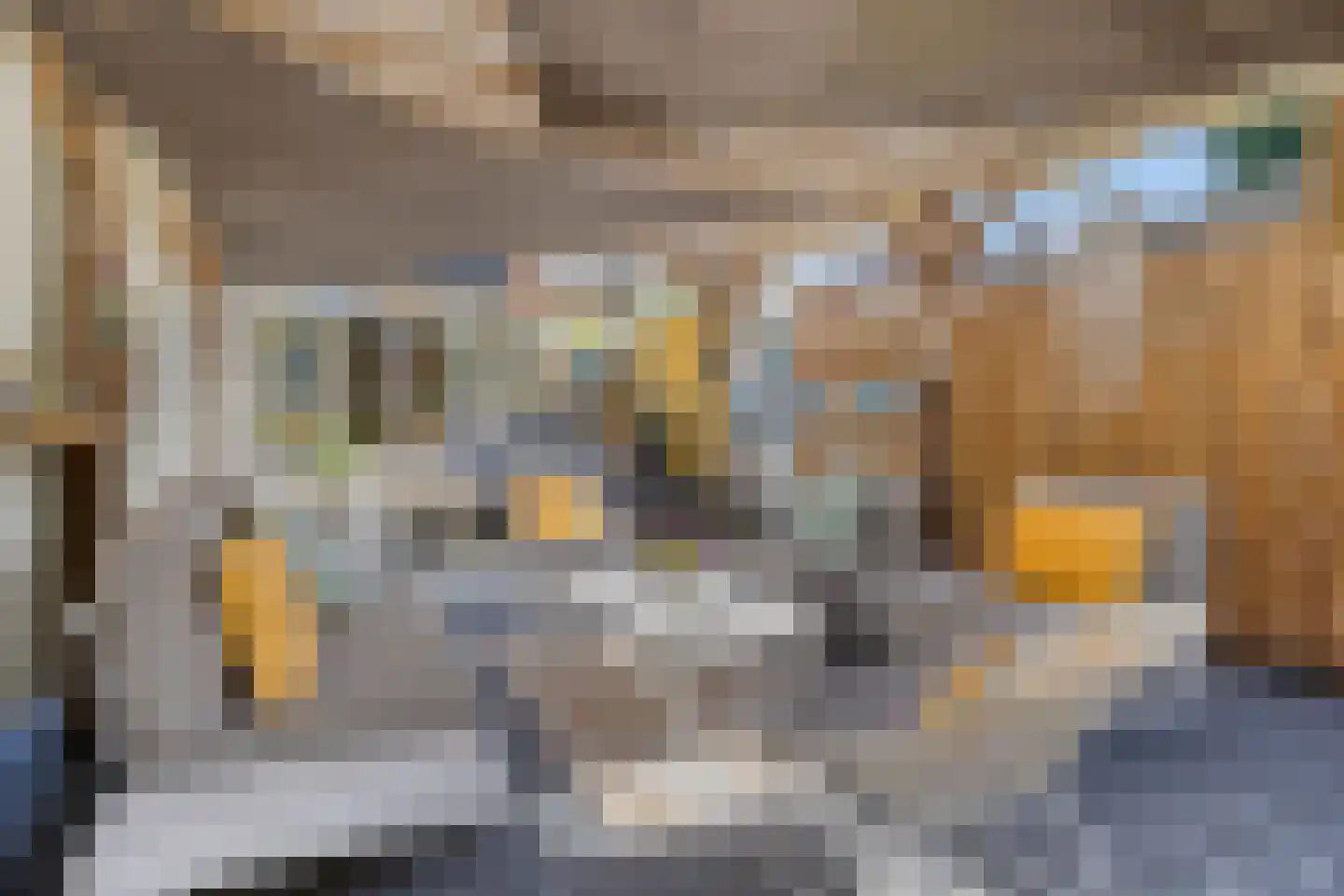 Eerste Buitenpepers 59 's-Hertogenbosch thumbnail 11