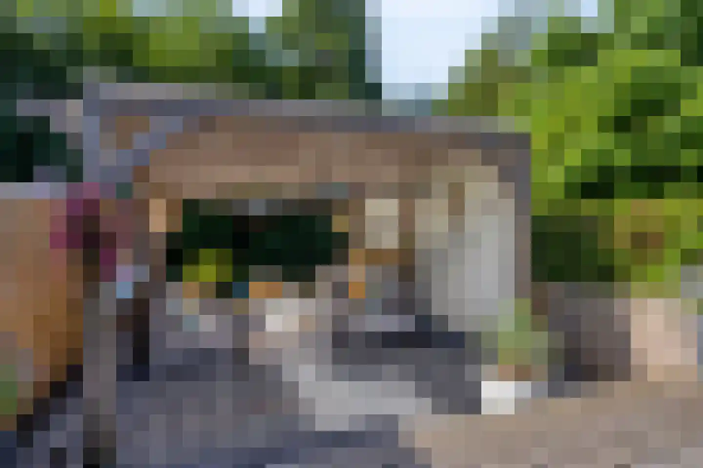 Eerste Buitenpepers 59 's-Hertogenbosch thumbnail 7