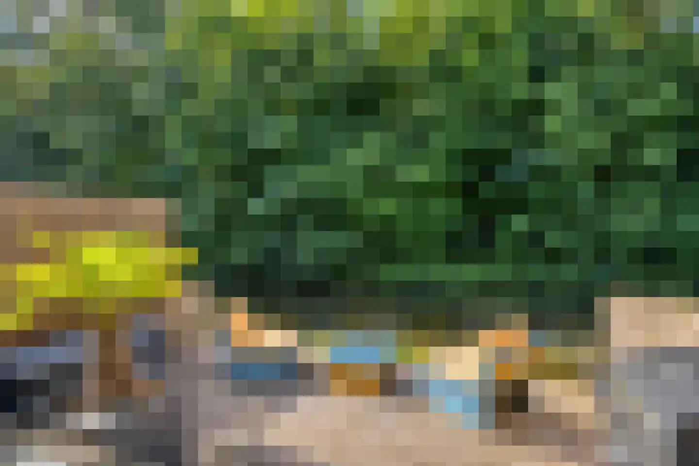 Eerste Buitenpepers 59 's-Hertogenbosch thumbnail 8