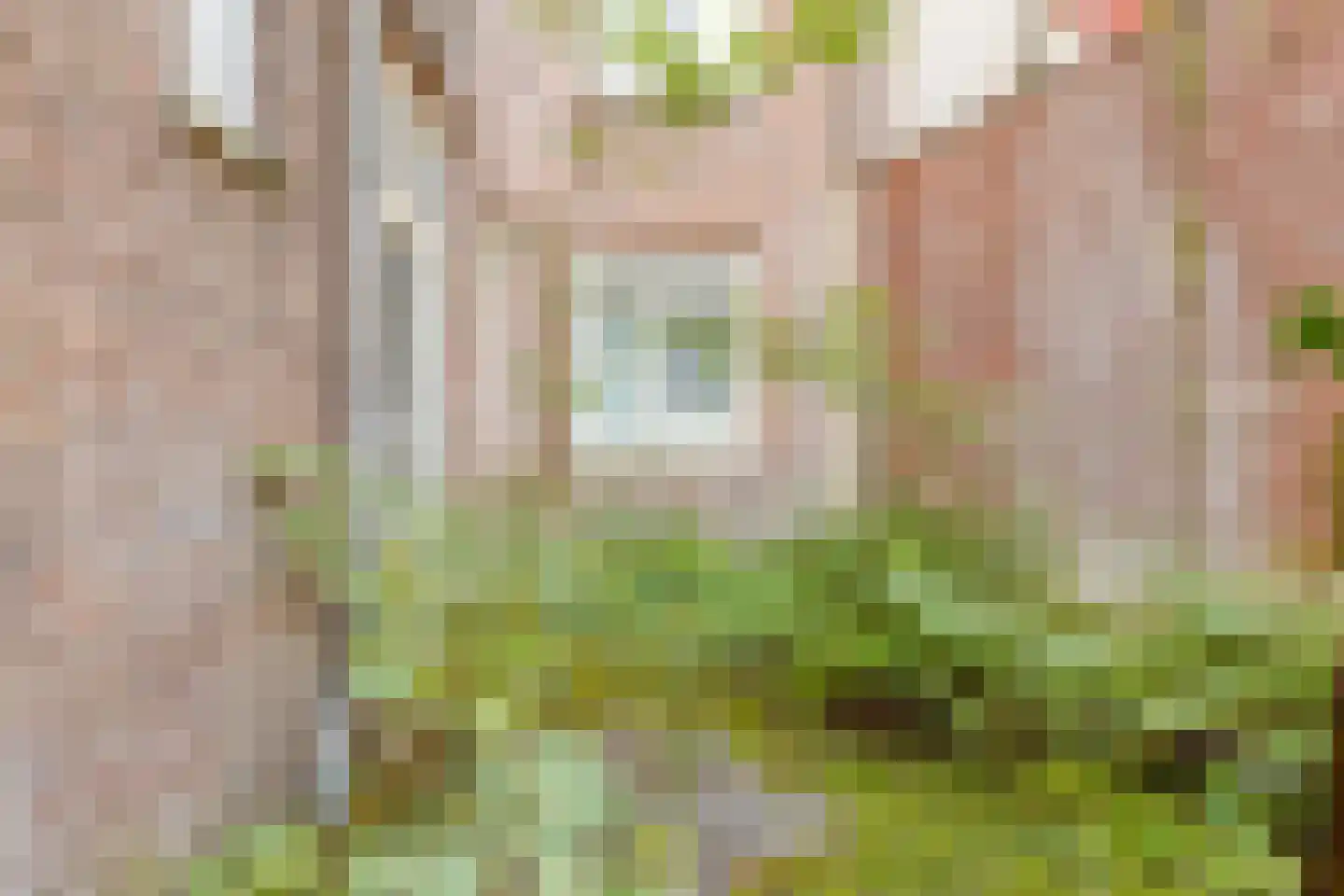 Eerste Ceramstraat 1 1 Amsterdam thumbnail 16