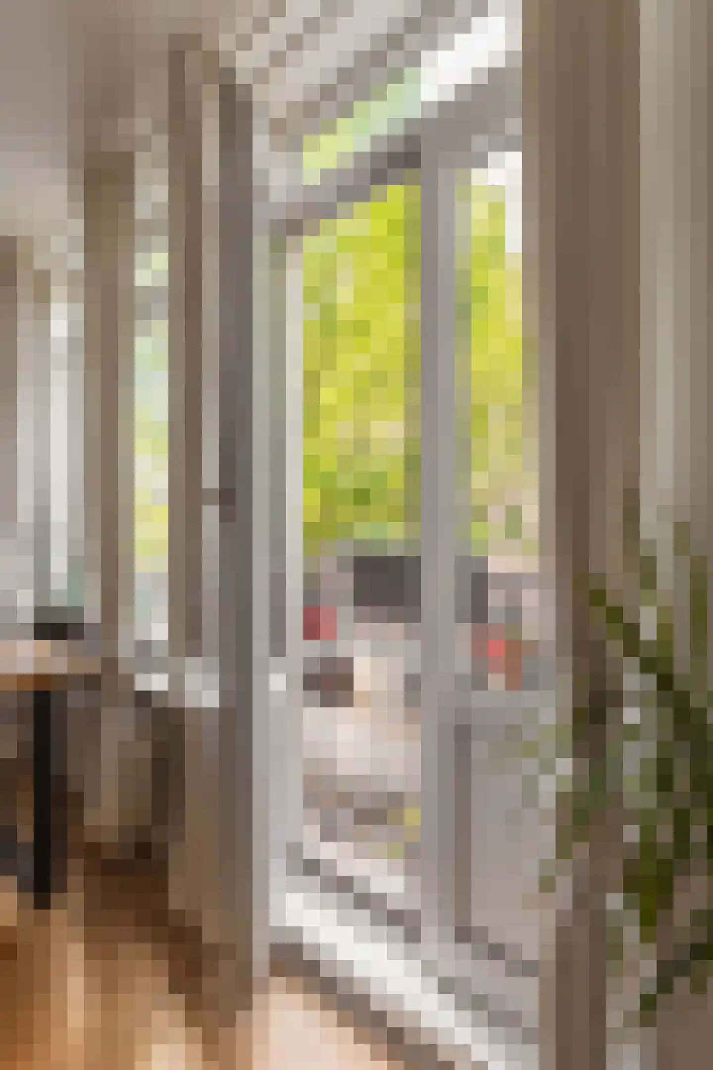 Eerste Ceramstraat 3 1 Amsterdam thumbnail 12