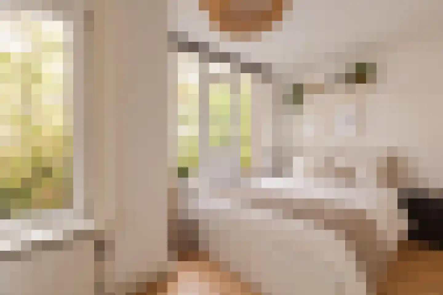 Eerste Ceramstraat 3 1 Amsterdam thumbnail 15