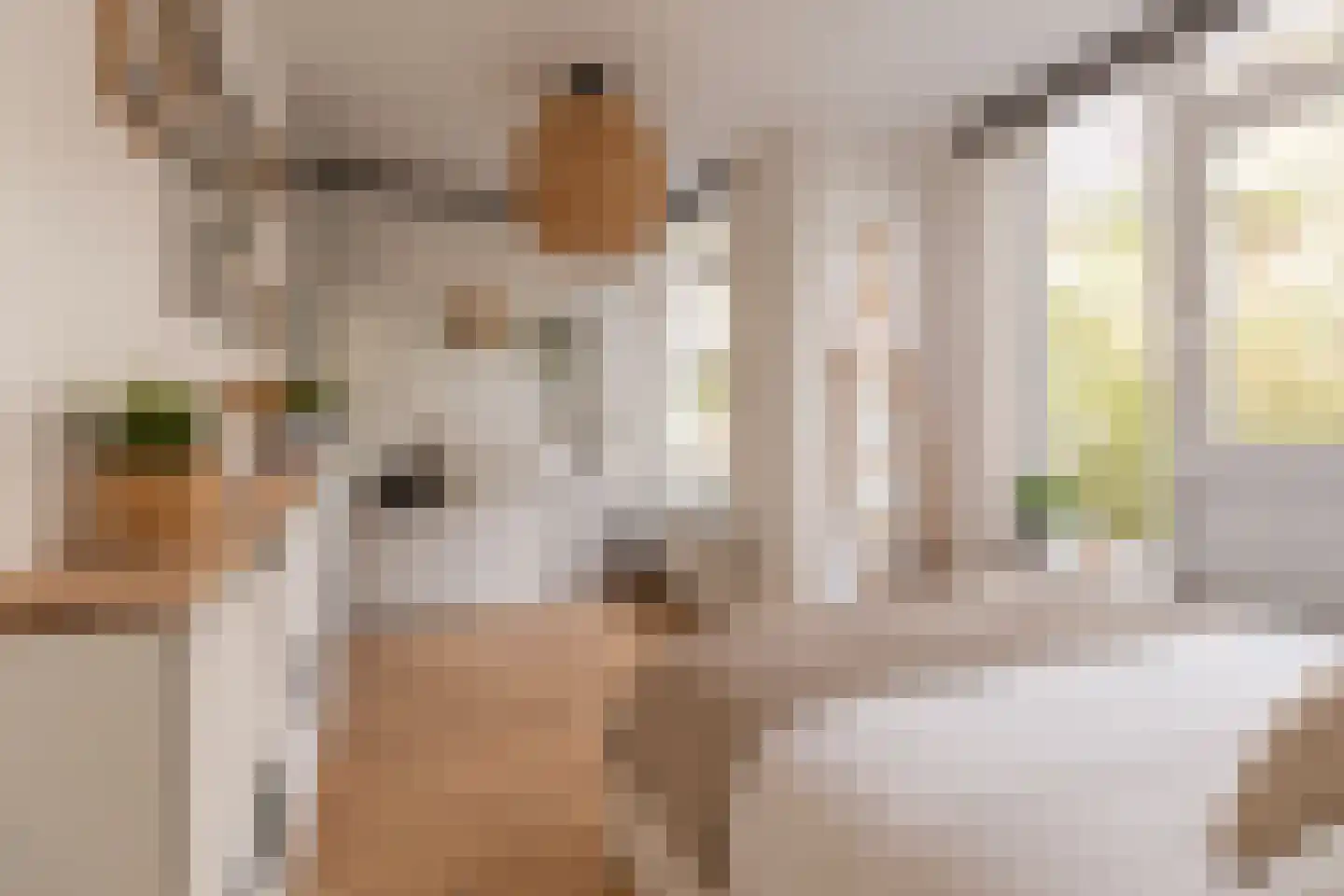 Eerste Ceramstraat 3 1 Amsterdam thumbnail 16