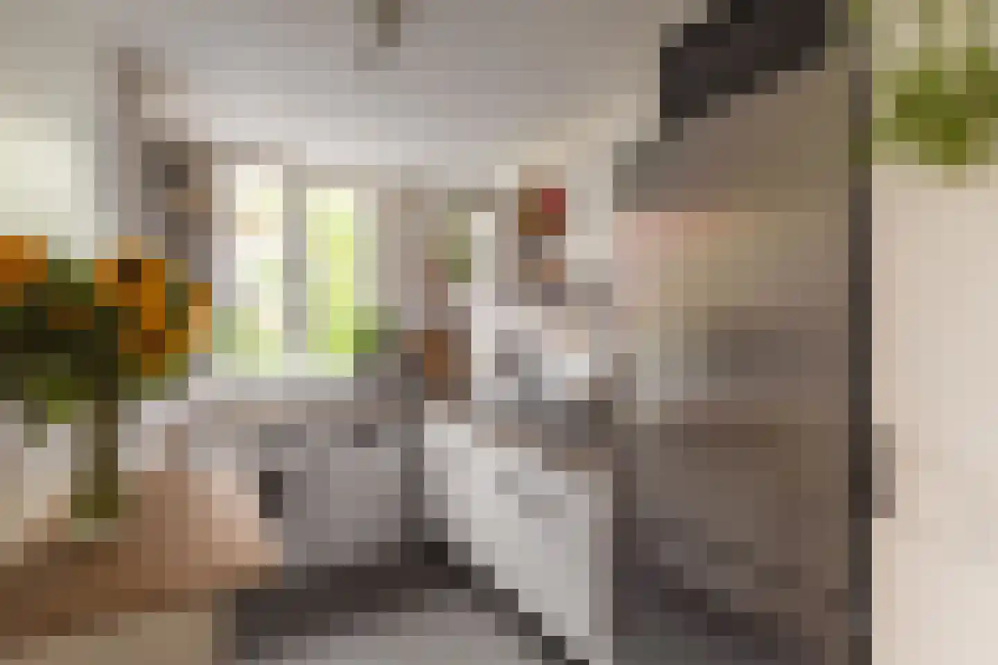 Eerste Ceramstraat 3 1 Amsterdam thumbnail 23