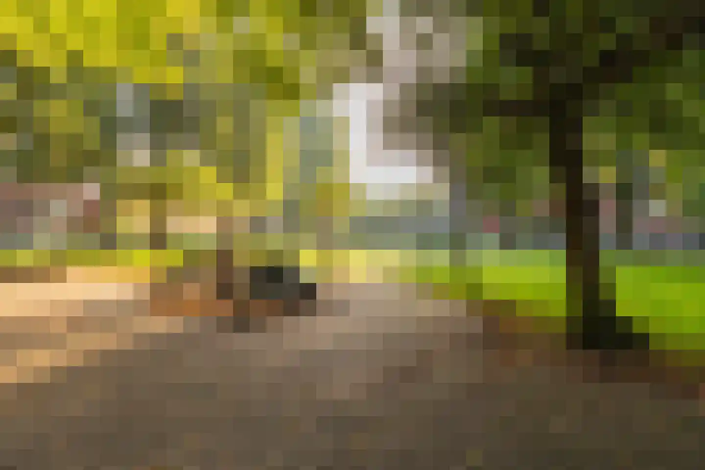 Eerste Ceramstraat 3 1 Amsterdam thumbnail 26