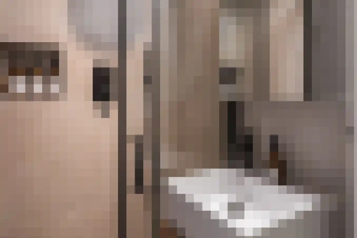 Eerste Ceramstraat 3 1 Amsterdam thumbnail 5