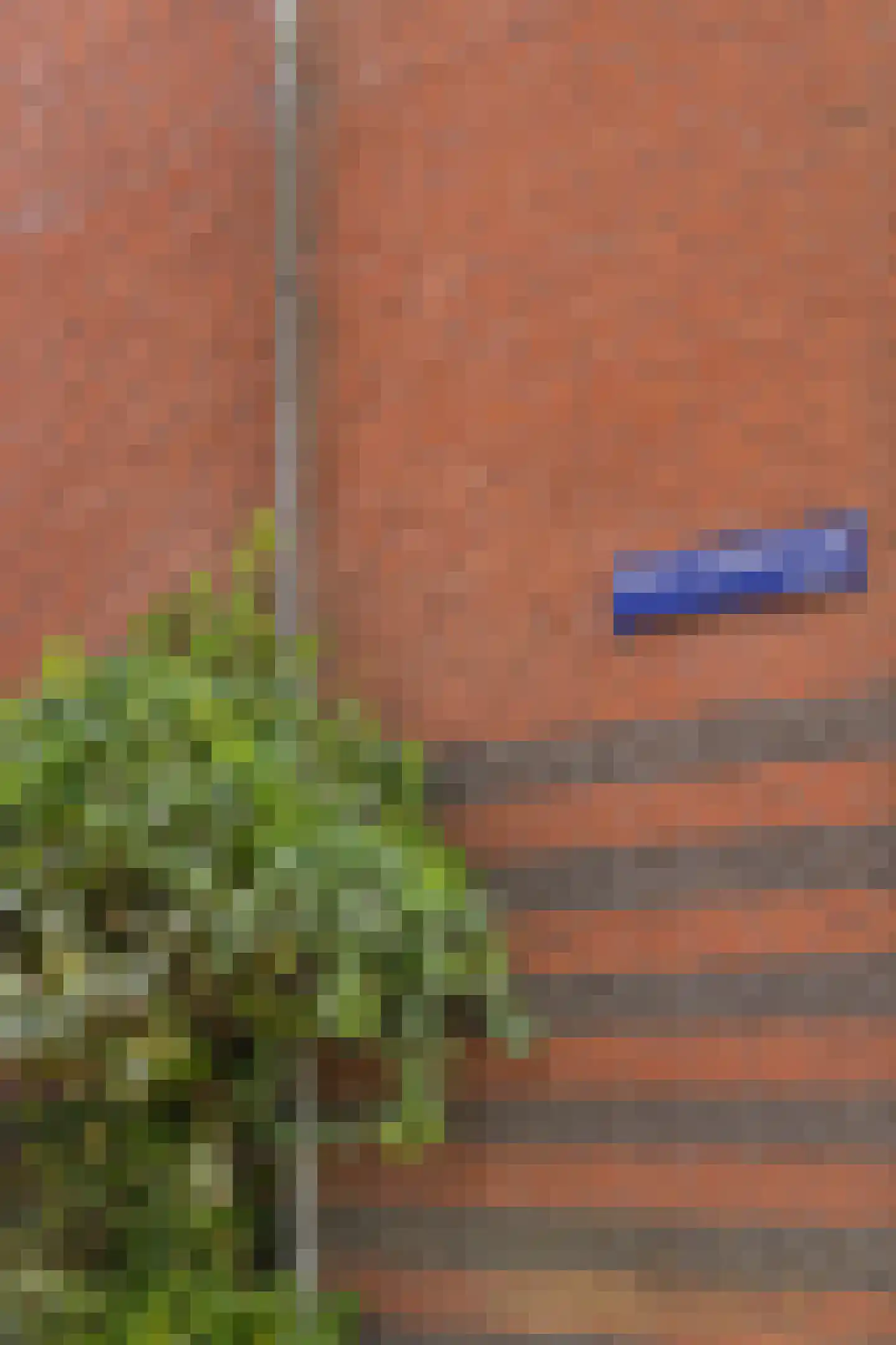 Eerste Ceramstraat 3 1 Amsterdam thumbnail 6
