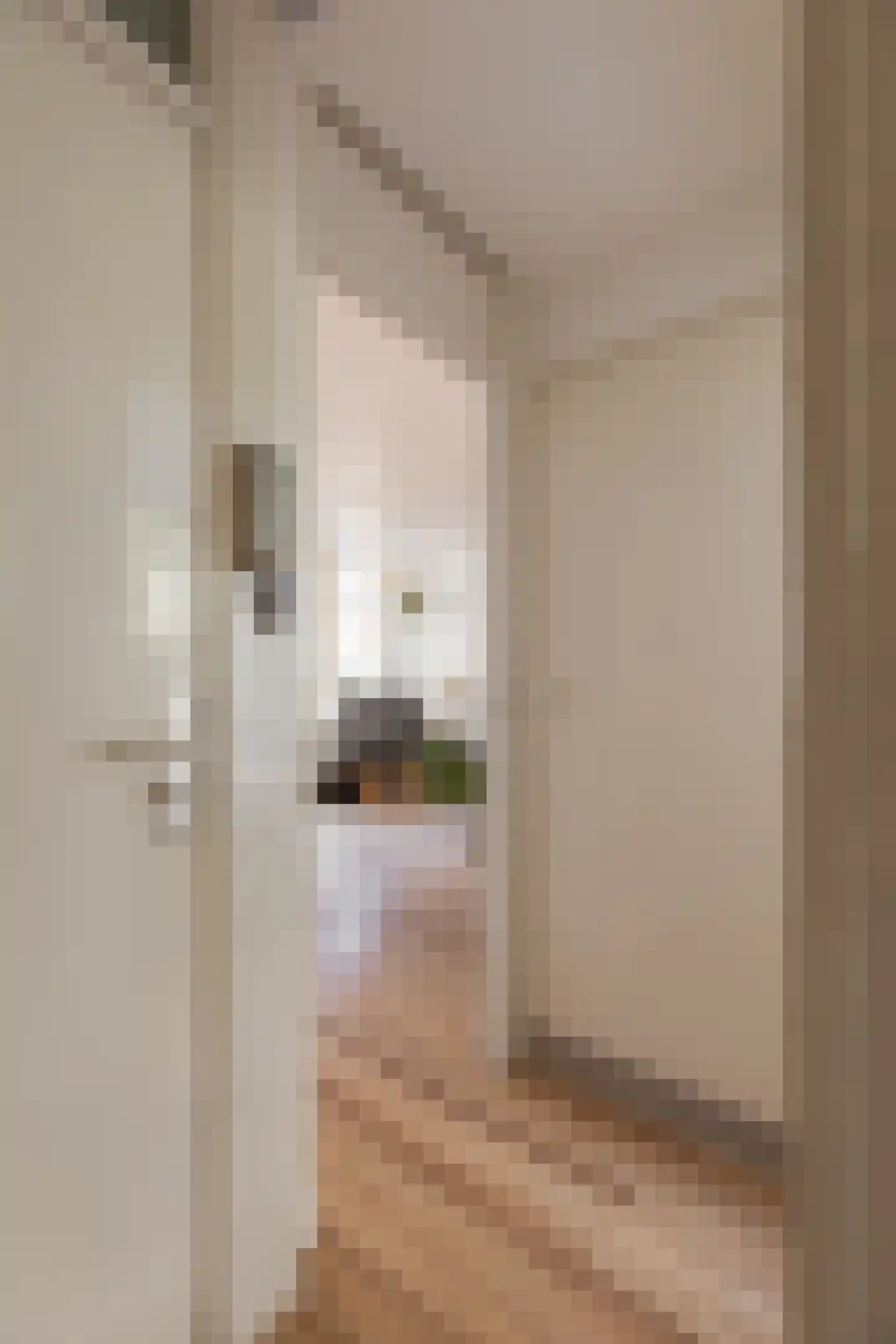 Eerste Ceramstraat 3 1 Amsterdam thumbnail 8