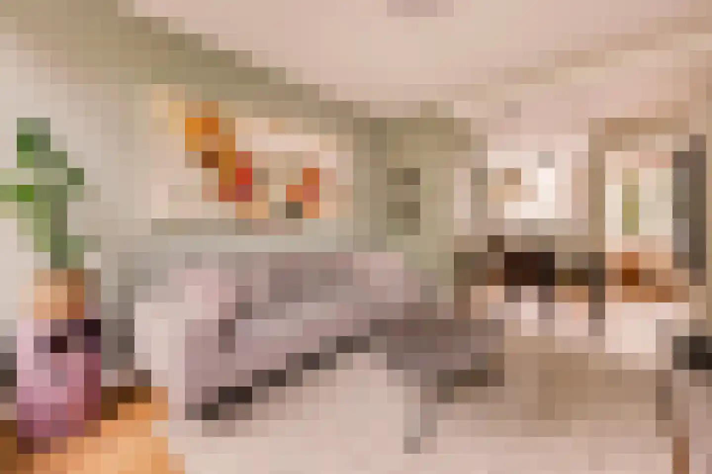 Eerste Ceramstraat 5 2 Amsterdam thumbnail 10