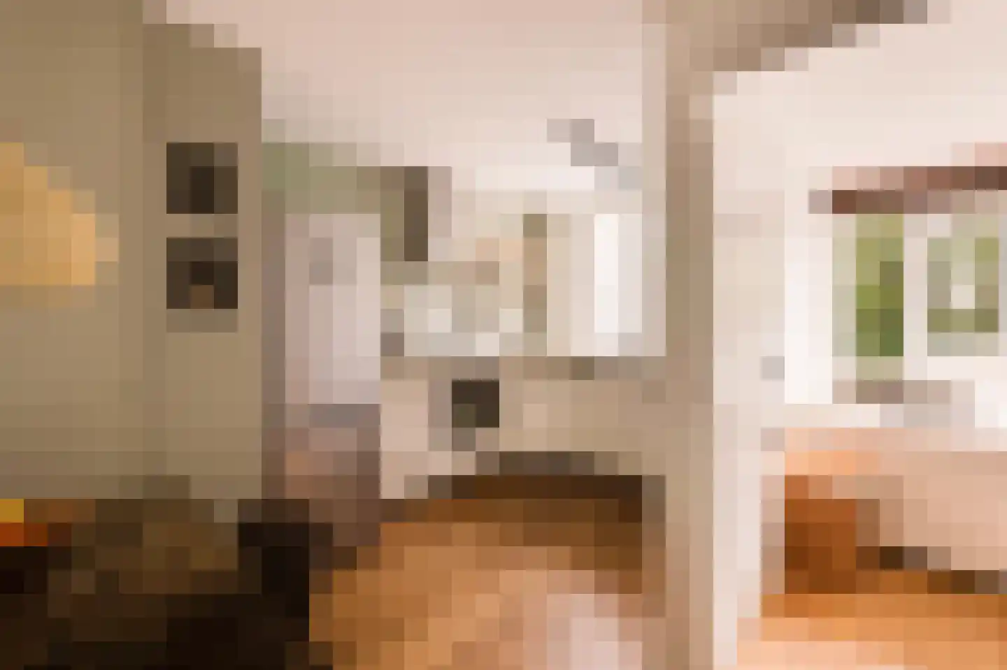 Eerste Ceramstraat 5 2 Amsterdam thumbnail 13