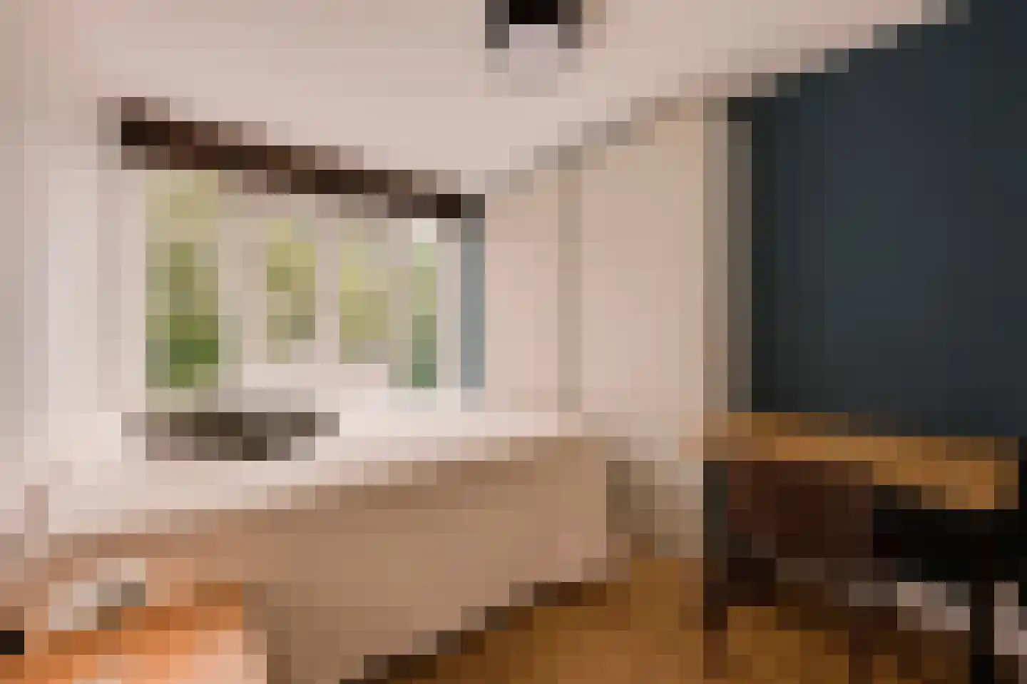 Eerste Ceramstraat 5 2 Amsterdam thumbnail 14