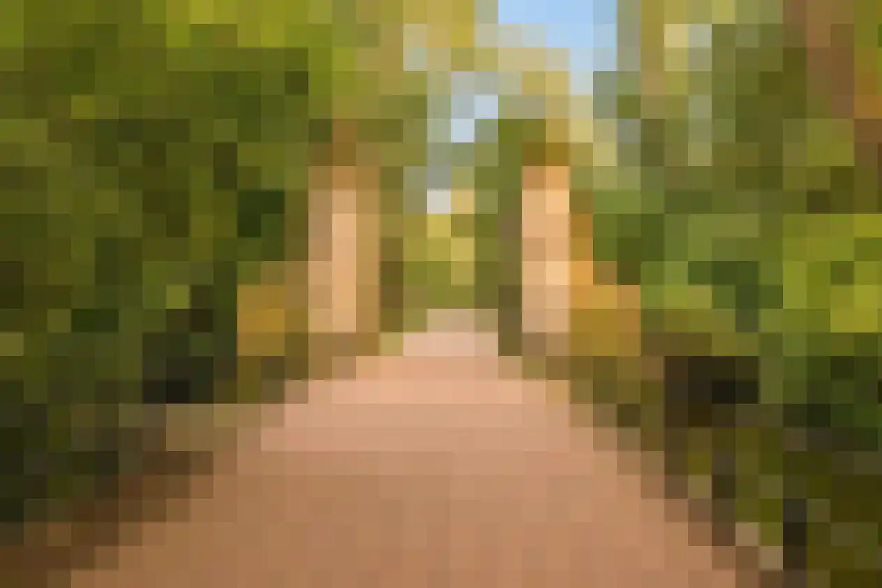 Eerste Ceramstraat 5 2 Amsterdam thumbnail 21
