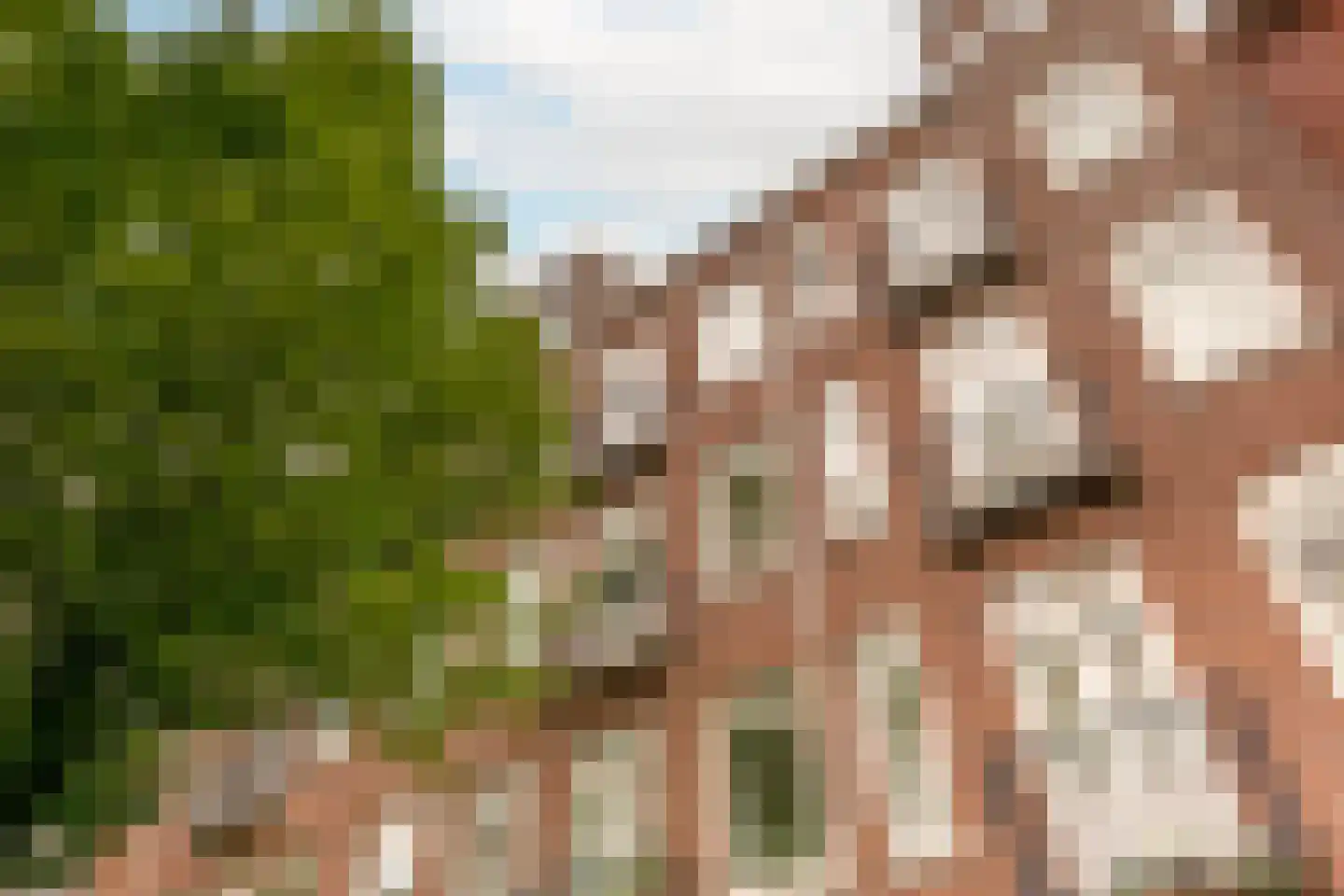 Eerste Ceramstraat 5 2 Amsterdam thumbnail 4
