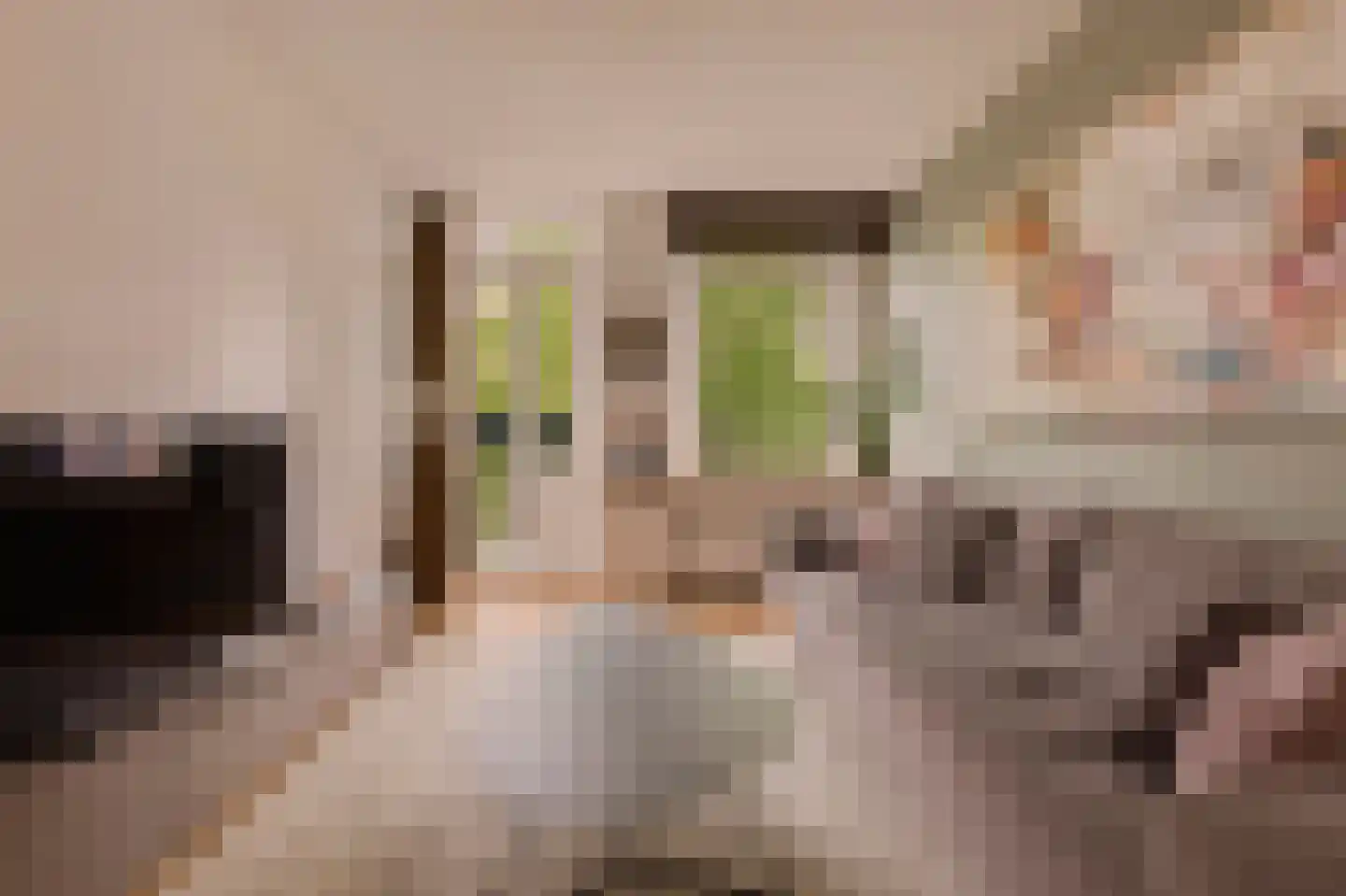 Eerste Ceramstraat 5 2 Amsterdam thumbnail 5
