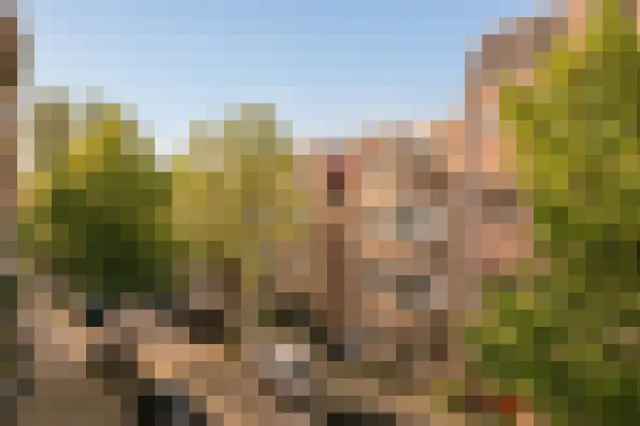 Eerste Ceramstraat 5 2 Amsterdam thumbnail 8
