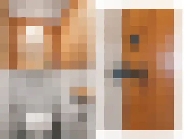 Eerste Compagnonsweg 27 Bontebok thumbnail 103