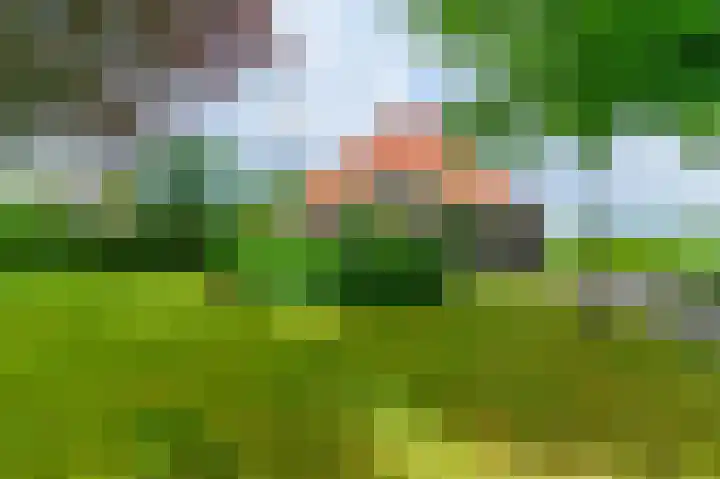 Eerste Compagnonsweg 27 Bontebok thumbnail 11