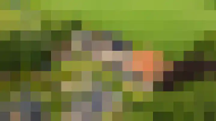 Eerste Compagnonsweg 27 Bontebok thumbnail 15