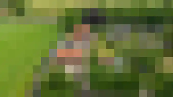 Eerste Compagnonsweg 27 Bontebok thumbnail 17