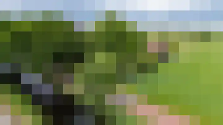Eerste Compagnonsweg 27 Bontebok thumbnail 18