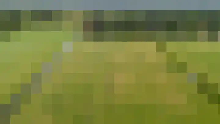 Eerste Compagnonsweg 27 Bontebok thumbnail 19