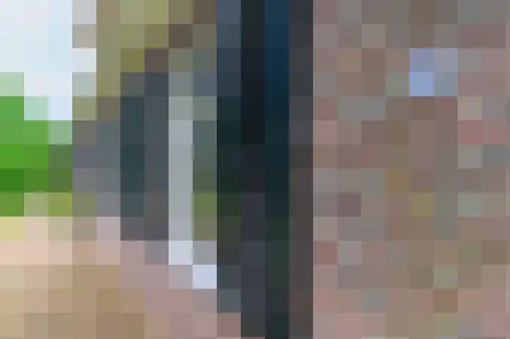 Eerste Compagnonsweg 27 Bontebok thumbnail 20