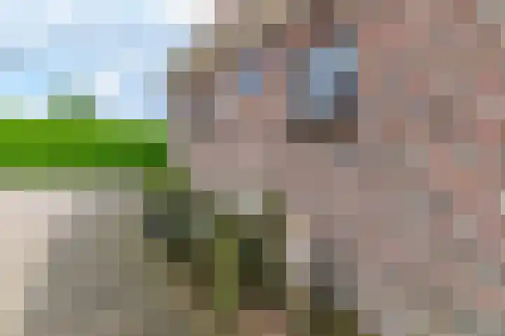 Eerste Compagnonsweg 27 Bontebok thumbnail 23