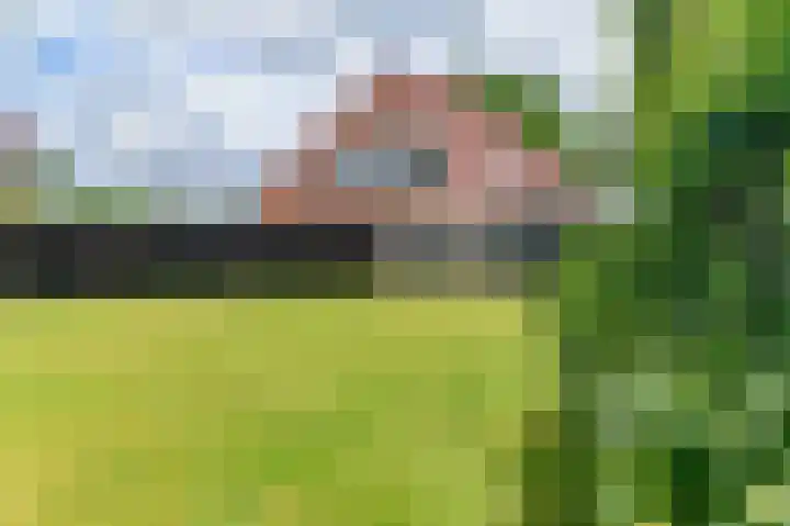 Eerste Compagnonsweg 27 Bontebok thumbnail 25
