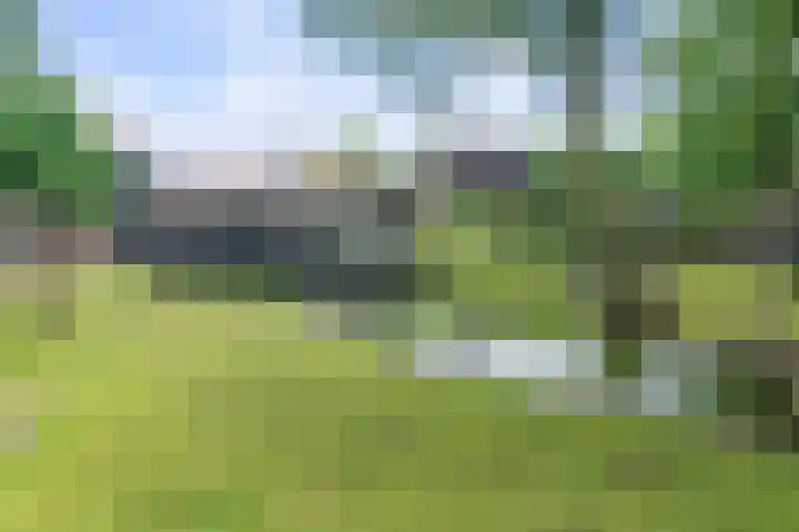 Eerste Compagnonsweg 27 Bontebok thumbnail 31