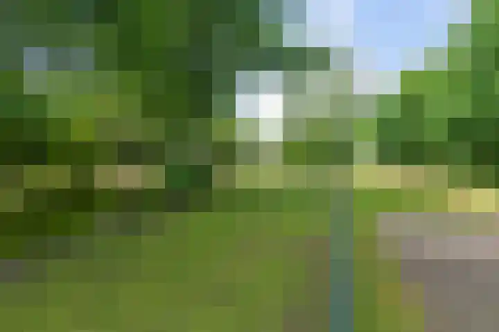 Eerste Compagnonsweg 27 Bontebok thumbnail 32