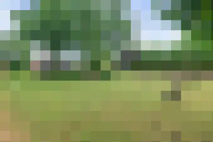 Eerste Compagnonsweg 27 Bontebok thumbnail 33