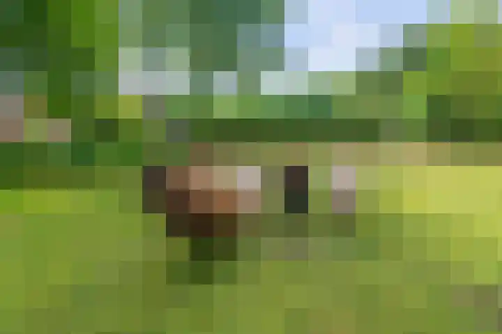 Eerste Compagnonsweg 27 Bontebok thumbnail 34