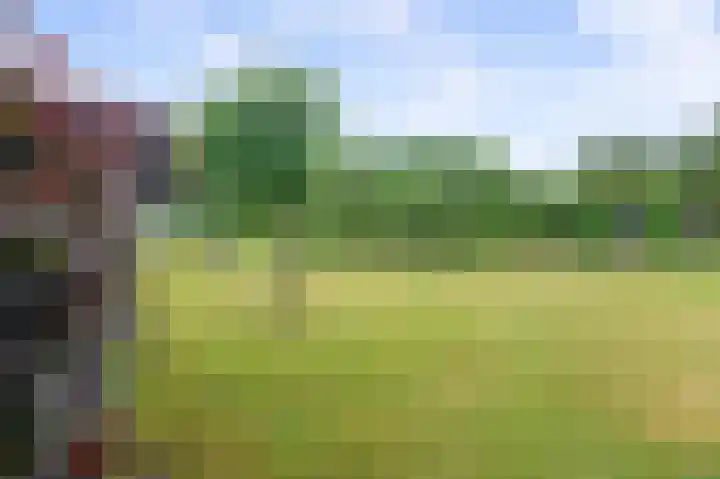 Eerste Compagnonsweg 27 Bontebok thumbnail 35