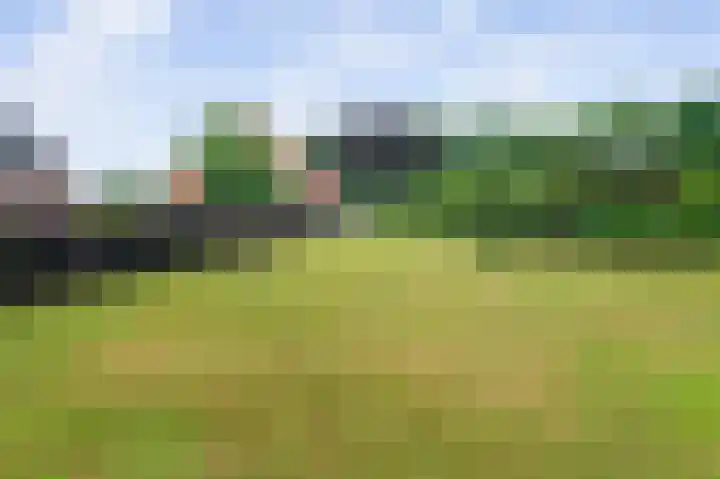 Eerste Compagnonsweg 27 Bontebok thumbnail 36