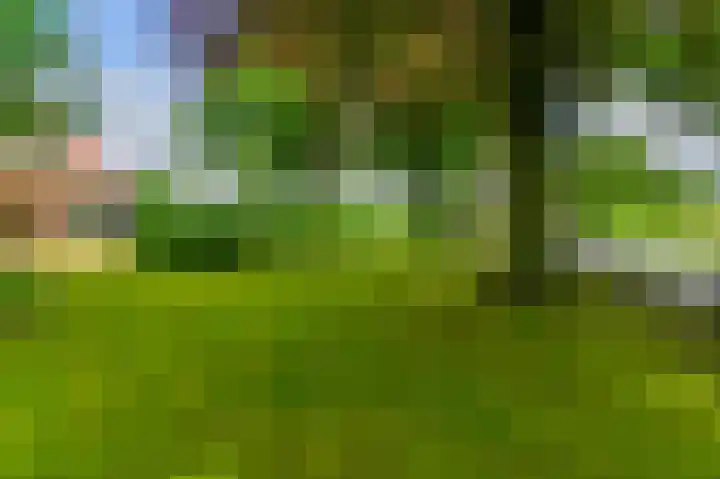 Eerste Compagnonsweg 27 Bontebok thumbnail 37
