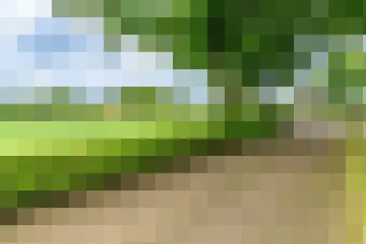 Eerste Compagnonsweg 27 Bontebok thumbnail 38