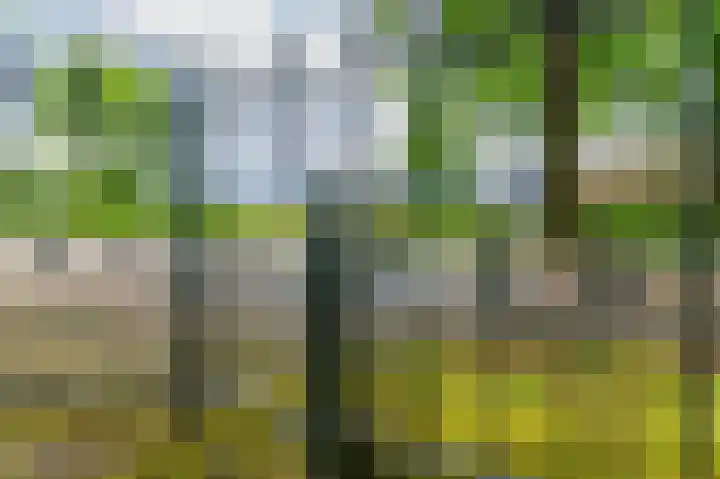 Eerste Compagnonsweg 27 Bontebok thumbnail 39