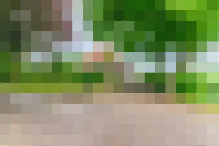 Eerste Compagnonsweg 27 Bontebok thumbnail 40