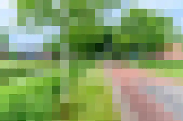 Eerste Compagnonsweg 27 Bontebok thumbnail 41