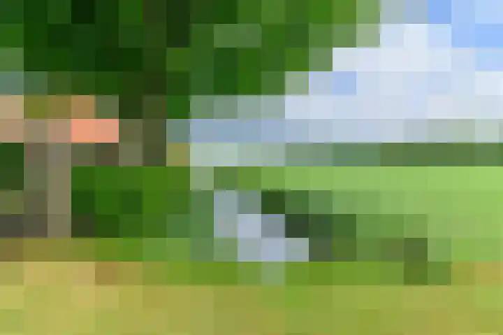 Eerste Compagnonsweg 27 Bontebok thumbnail 42