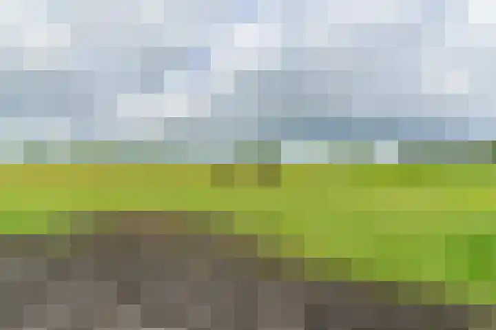 Eerste Compagnonsweg 27 Bontebok thumbnail 43