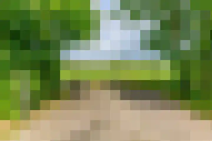 Eerste Compagnonsweg 27 Bontebok thumbnail 44