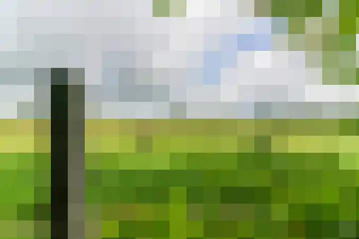 Eerste Compagnonsweg 27 Bontebok thumbnail 45
